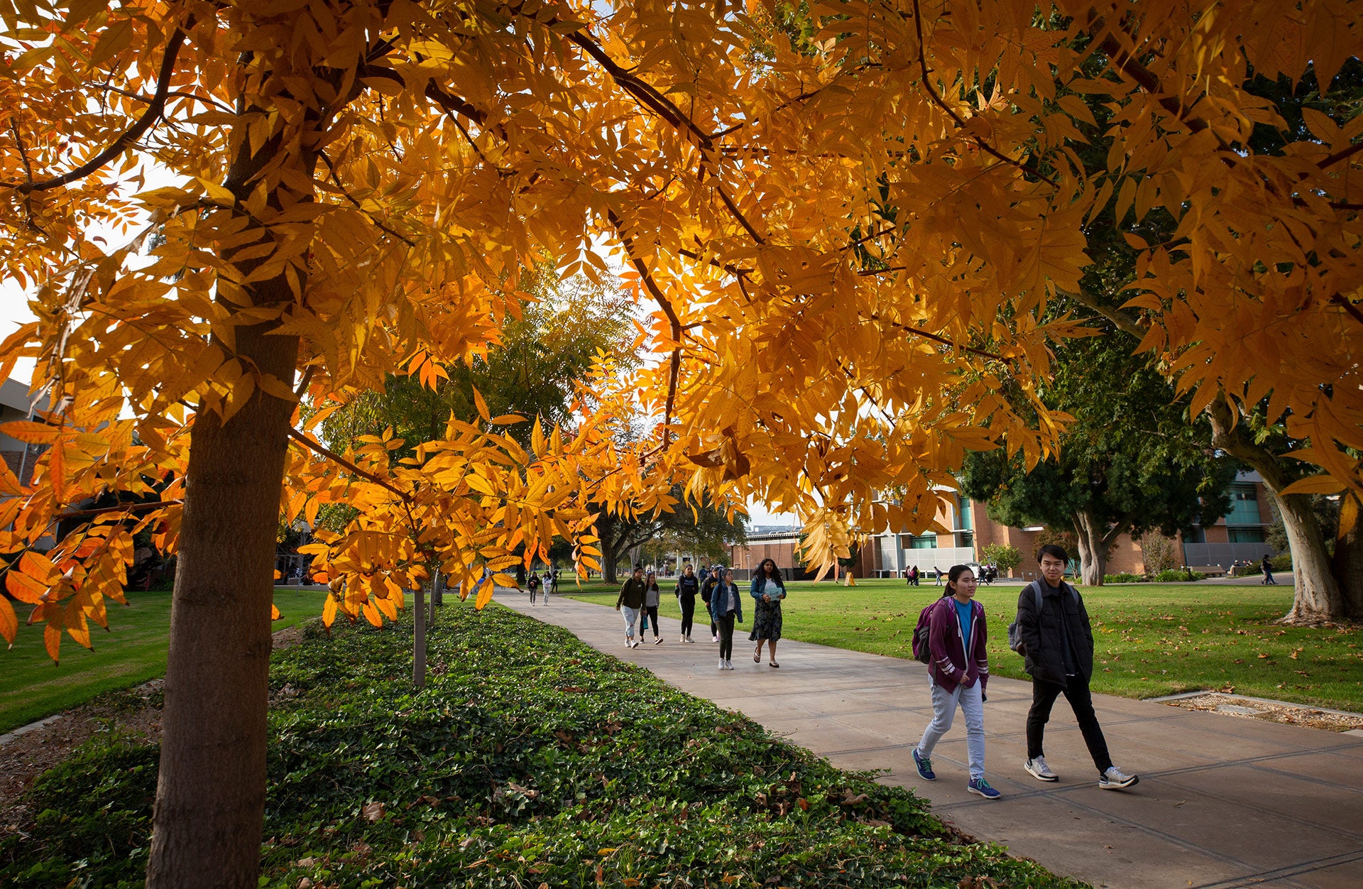 UCR Campus in Fall Color 2019