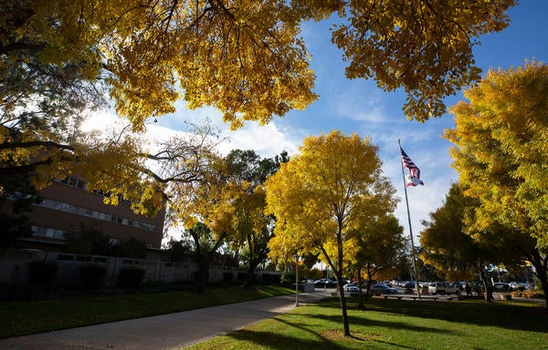 UCR Campus with the flag
