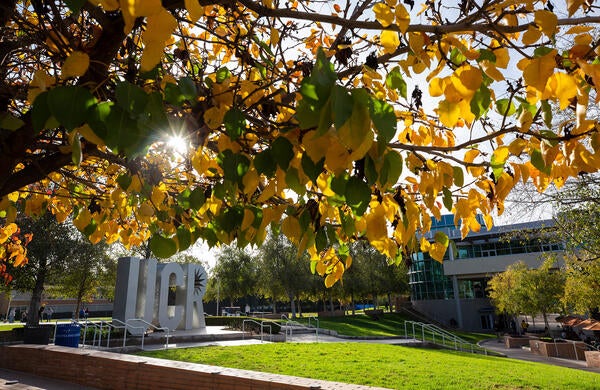 UCR Sign in fall