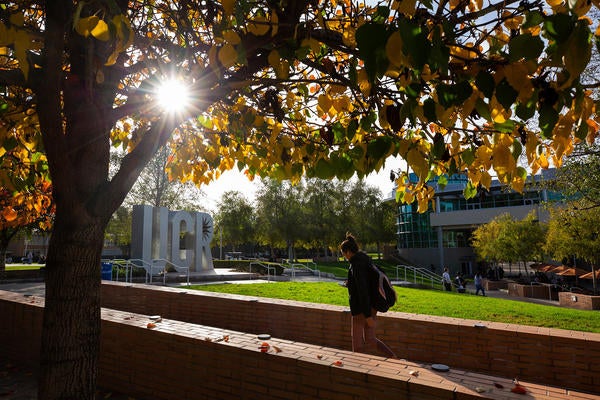 Fall colors warm the campus on December 11, 2019. 