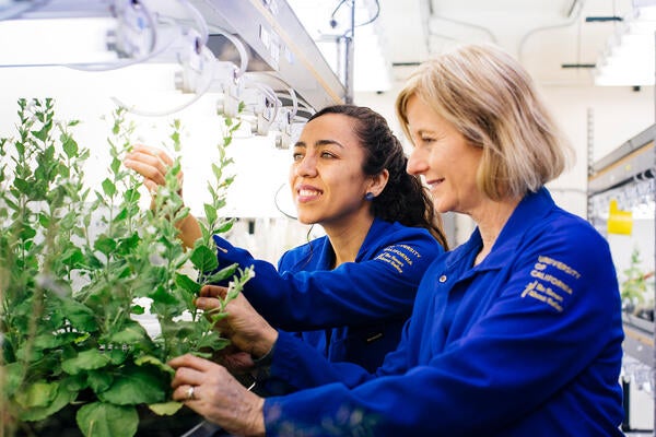 UCR student and faculty working in botany lab