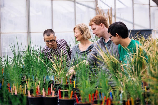 UCR student and faculty working in botany lab