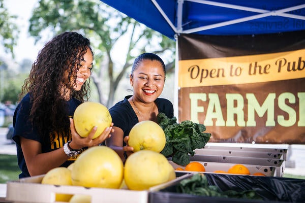 UCR students at farmers market