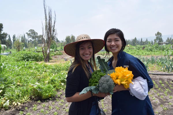 2 female students posing in green field in Mexico City