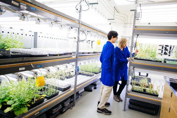 UCR student and faculty working in botany lab