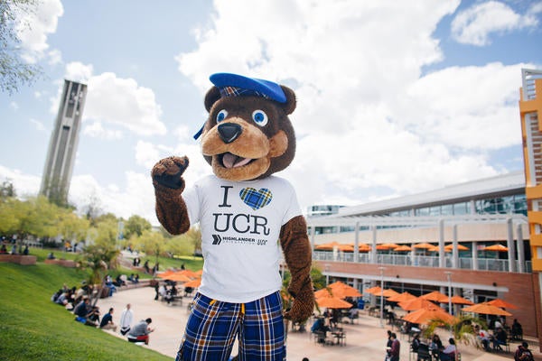 UCR Scotty the Bear by the HUB