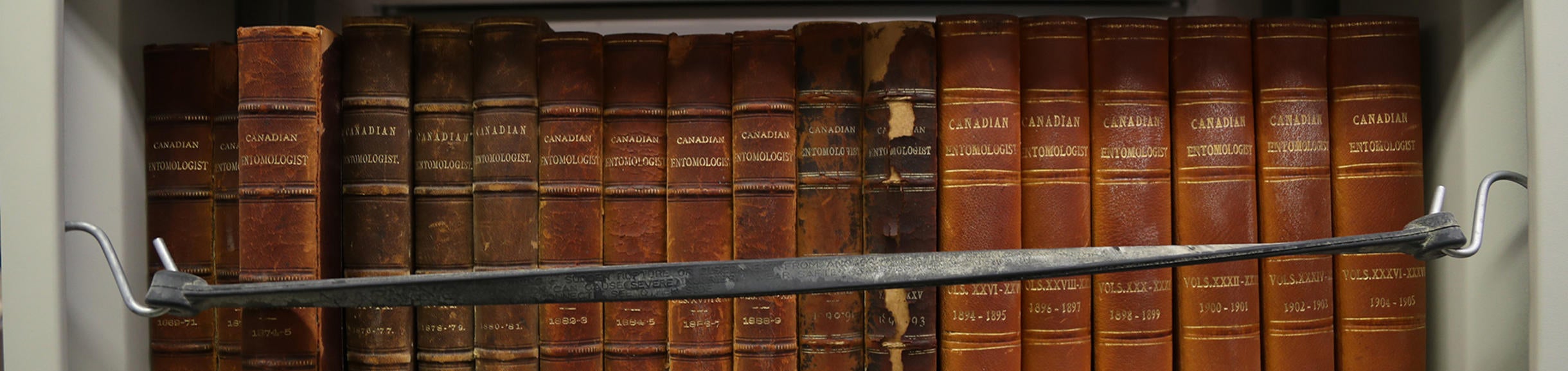 A collection of books inside the Entomology Museum. Photographed on March 12, 2019.