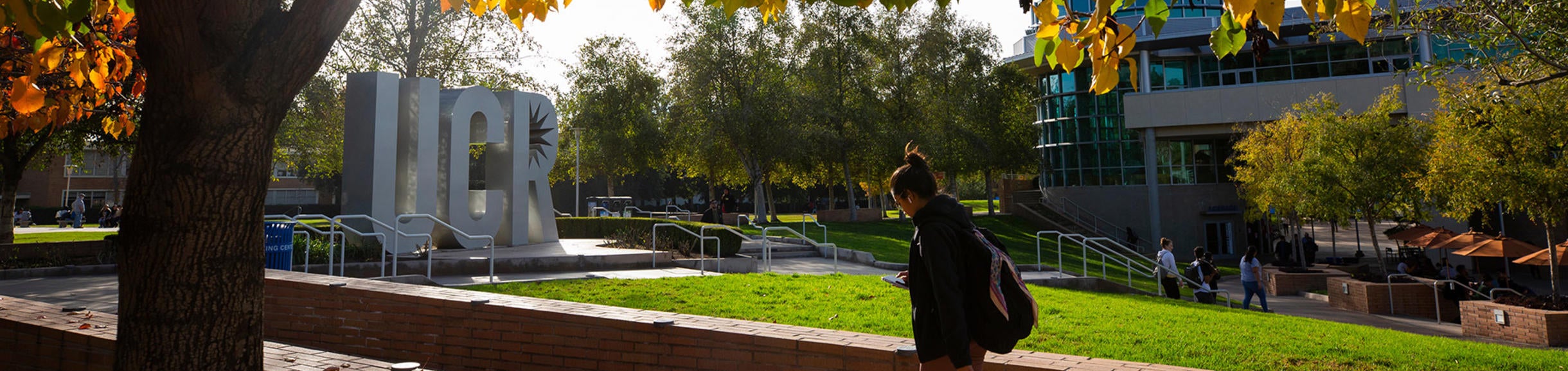 Fall colors warm the campus on December 11, 2019.